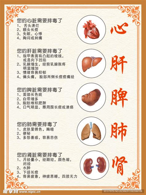 心肝脾肺腎情緒|過悲傷肺、大喜傷心臟、憂慮傷脾胃⋯⋯一張圖看懂「。